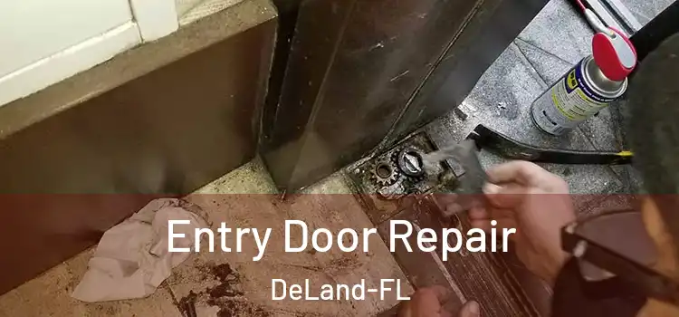  Entry Door Repair DeLand-FL